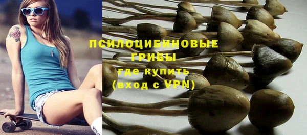 ешки Нея