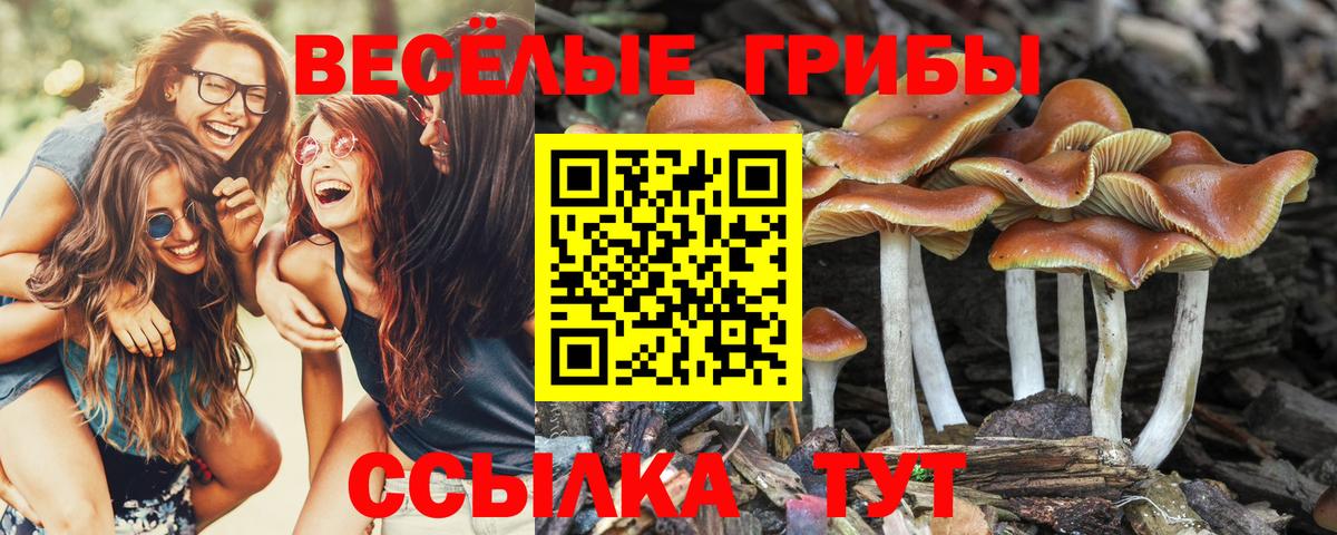 Псилоцибиновые грибы ЛСД Петровск